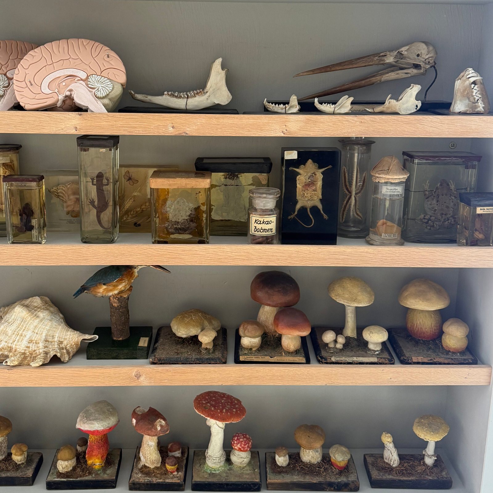 Sammlung