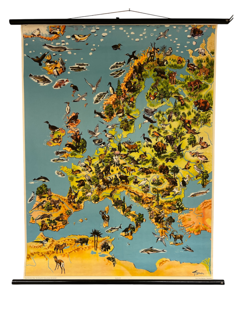 Kindgerechte Wandkarte Europa mit Tieren und Kulturmotiven