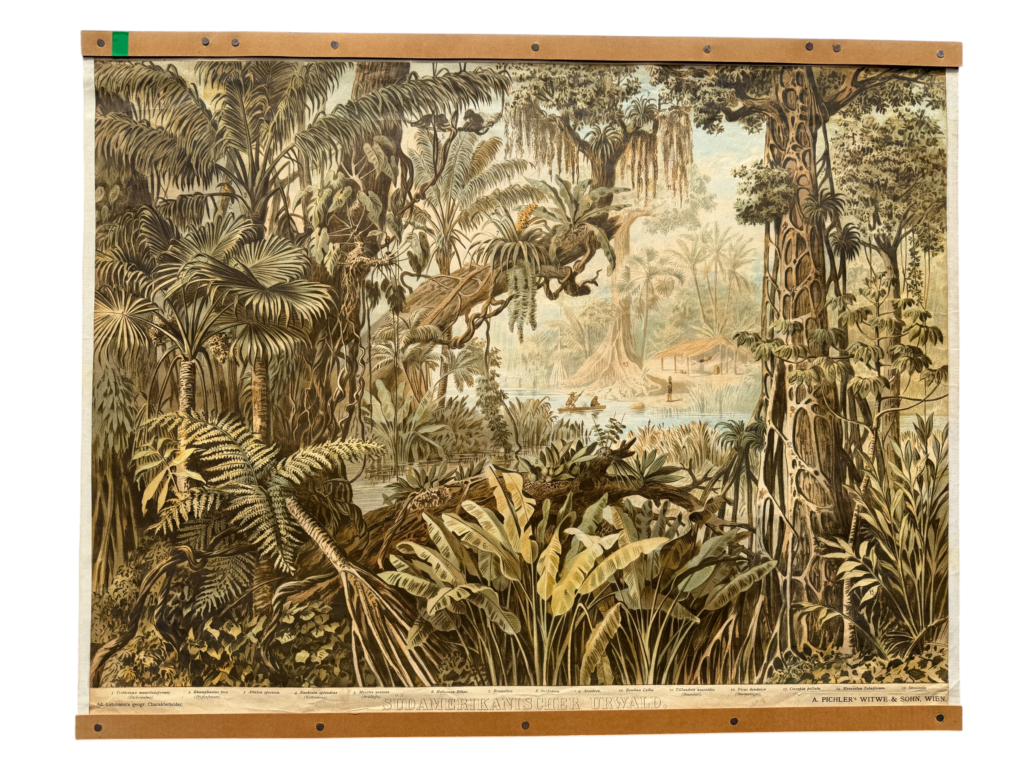 Lehrtafel Südamerikanischer Urwald, tropischer Regenwald mit Fächerpalmen Lianen Hütte und Boot, Reihe Ad. Lehmann's geographische Charakterbilder, A. Pichlers Witwe und Sohn Wien
