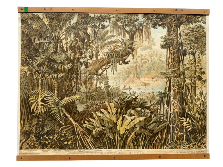 Lehrtafel Südamerikanischer Urwald, tropischer Regenwald mit Fächerpalmen Lianen Hütte und Boot, Reihe Ad. Lehmann's geographische Charakterbilder, A. Pichlers Witwe und Sohn Wien