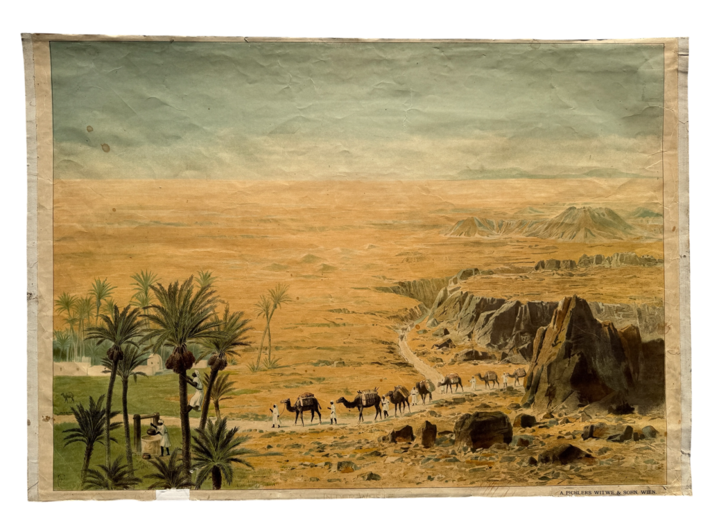 Lehrtafel Wüstenkarawane Sahara, Karawane mit Kamelen am Felsen, links Oase mit Dattelpalmen, Verlag A. Pichlers Witwe und Sohn Wien