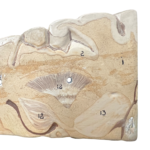 Anatomisches Lehrmodell eines menschlichen Gehirns, Detail des Schädelbasis-Bereichs mit nummerierten Strukturen
